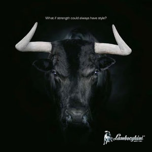 4WD traktori Lamborghini Nitro 120 VRT DT