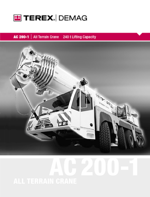 Dizalice za sve terene Terex-Demag AC 200-1 (10x8x8)