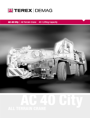 Dizalice za sve terene Terex-Demag AC 40 City (6x4x6)