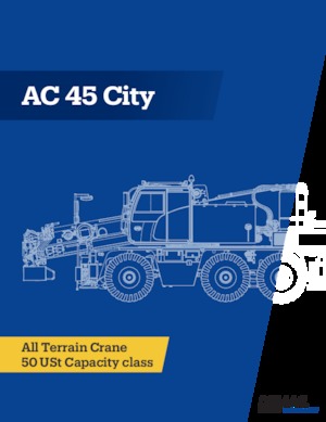Dizalice za sve terene Terex-Demag AC 45 City