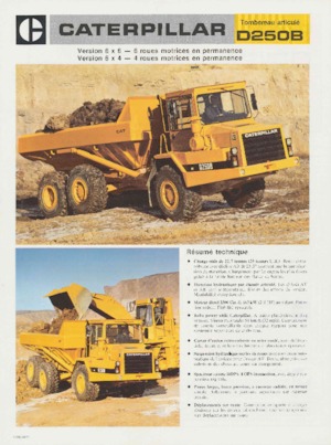 Zglobni kiperi Caterpillar D250B