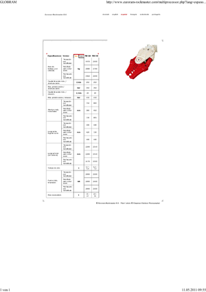 Multi- procesori Globram RM330