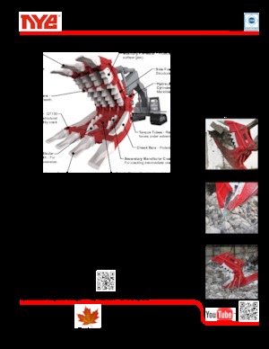 Pulverizatori za beton Nye TRX250