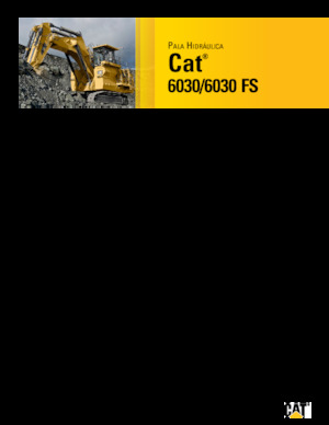 Bageri gusjeničari Caterpillar 6030 FS