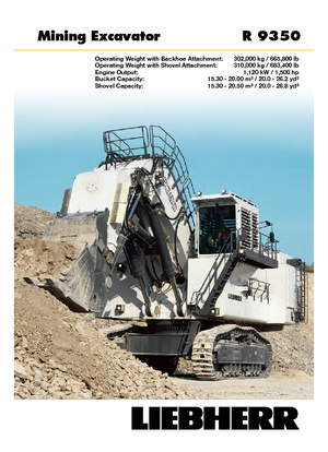 Bageri gusjeničari Liebherr R 9350 