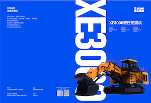 Bageri gusjeničari XCMG XE3000