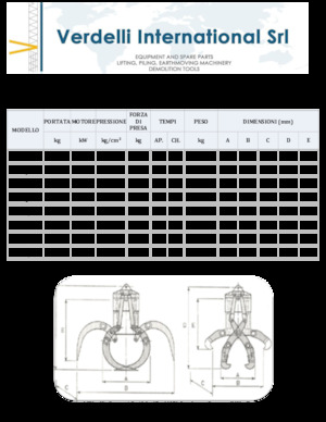Grabilice za sortiranje rušenja Verdelli F.E.E. /25