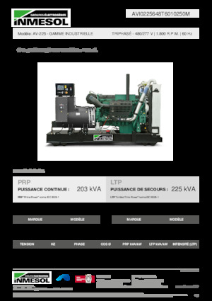 Dizelski generatori INMESOL AV-225