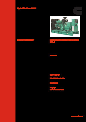 Dizelski generatori Cummins C380 D5