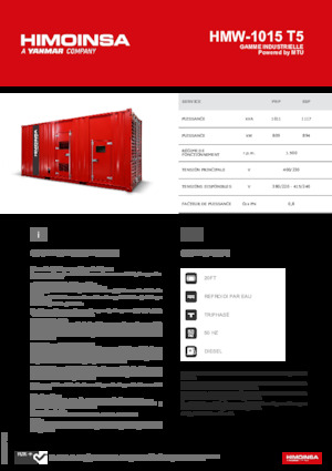 Dizelski generatori HIMOINSA HMW-1015 T5