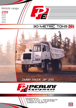Kruti kiperi kamioni Perlini DP 255