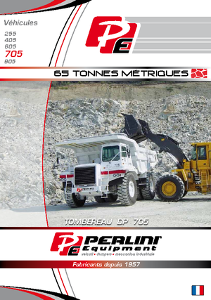Kruti kiperi kamioni Perlini DP 705 WD