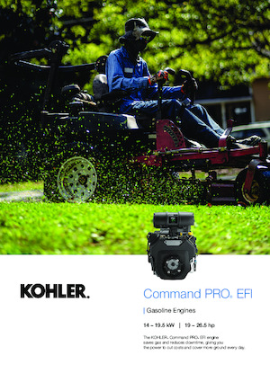 Motori Rehlko ECH749