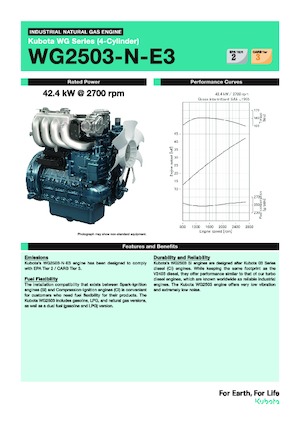 Motori Kubota WG2503-N-E3