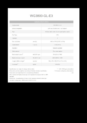 Motori Kubota WG3800-GL-E3