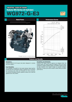Motori Kubota WG972-G-E3