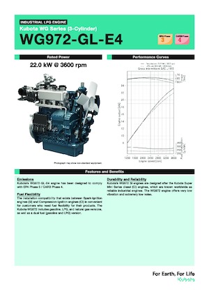 Motori Kubota WG972-GL-E4