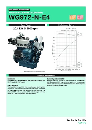 Motori Kubota WG972-N-E4