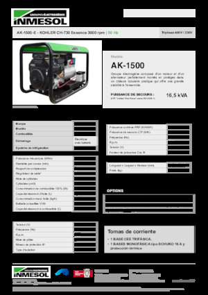 Benzinski generatori struje INMESOL AK-1500-E