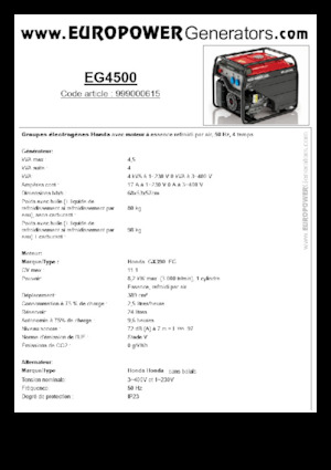 Benzinski generatori struje Europower EG4500