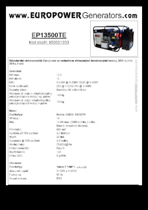 Benzinski generatori struje Europower EP13500TE (S)