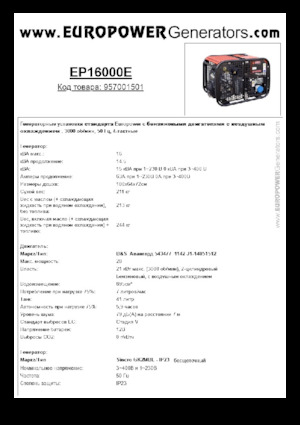 Benzinski generatori struje Europower EP16000E (S)