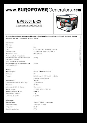 Benzinski generatori struje Europower EP6500TE-25 (S)