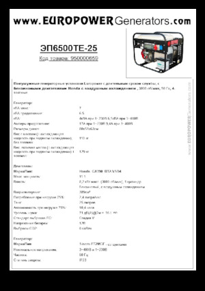 Benzinski generatori struje Europower EP6500TE-25 (S)