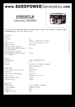 Benzinski generatori struje Europower EP6500TLN (S)