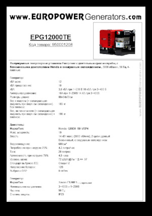 Benzinski generatori struje Europower EPG12000TE (S)