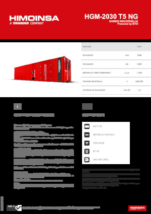 Benzinski generatori struje HIMOINSA HGM-2030 T5 NG