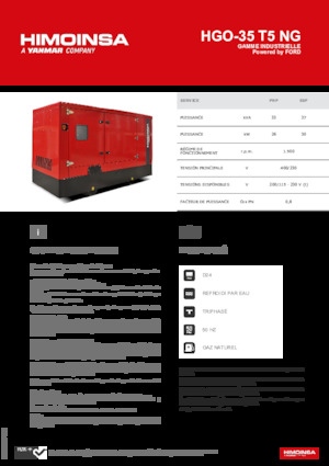Benzinski generatori struje HIMOINSA HGO-35 T5 NG