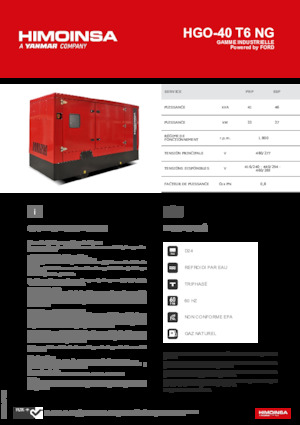 Benzinski generatori struje HIMOINSA HGO-40 T6 NG