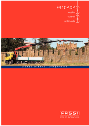 Hidraulične utovarne dizalice Fassi F 310 AXP 22