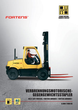 LPG viljuškari Hyster H6.0FT