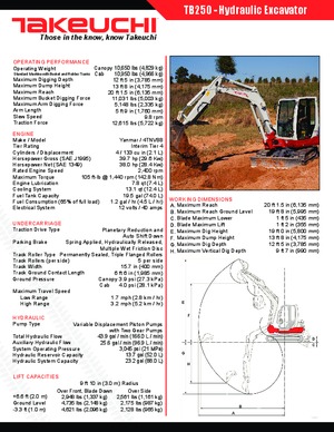 Mini bageri Takeuchi TB 250