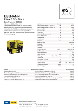 Benzinski generatori struje Eisemann BSKA 6.5 EV