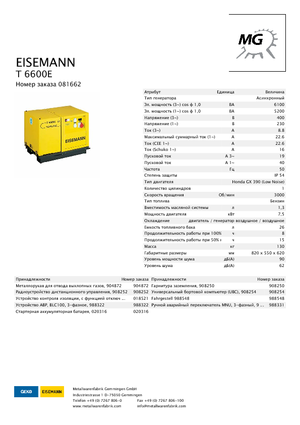 Benzinski generatori struje Eisemann T 6600 E