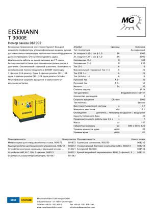 Benzinski generatori struje Eisemann T 9000 E