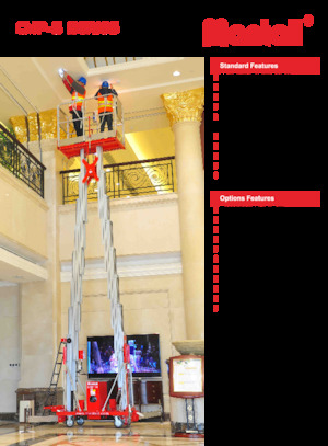 Vertikalna podizna platforma s jednim jarbolom Mantall CMP14-S