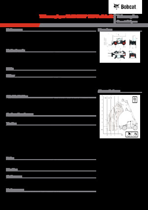 Teleskopski utovarivači Bobcat TL43.80HF 135 V