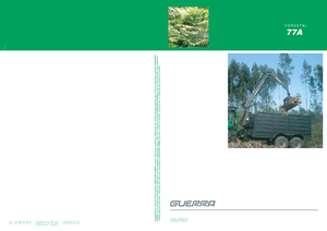 Dizalice za utovar drveta Guerra 77 AY 1