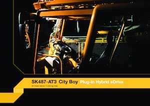 Toranjska dizalica Montaža na kamion - Kolica B. - Donji Sl. Spierings SK487-AT3