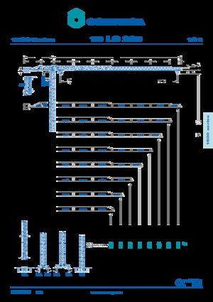 Toranjski kranovi - Grana kolica - Okretna na vrhu Comansa 16LC220