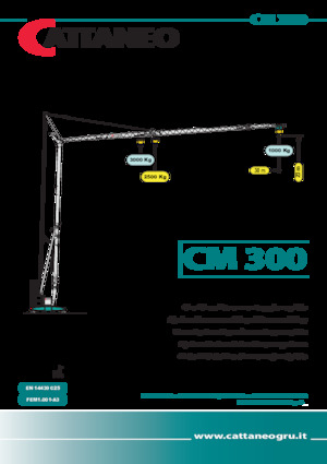 Toranjski kranovi - Grana kolica - Okretanje na dnu Cattaneo CM 300