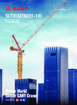 Toranjski kranovi - Grana kolica - Okretna na vrhu Sany SLT315