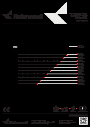 Toranjski kranovi - Grana kolica - Okretna na vrhu Raimondi T357