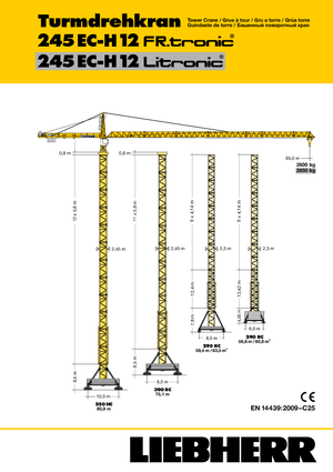 Toranjski kranovi - Grana kolica - Okretna na vrhu Liebherr 245 EC-H 12 Litronic