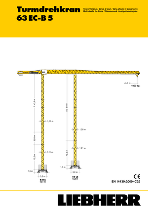 Toranjski kranovi - Grana kolica - Okretna na vrhu Liebherr 63 EC-B 5