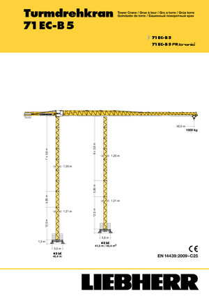 Toranjski kranovi - Grana kolica - Okretna na vrhu Liebherr 71 EC-B